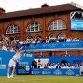 ATP turnyre Londone – A. Murray ir M. Čiličiaus pergalės