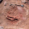 Prancūzijoje rasti prieš 6 tūkst. metų nužudytų neolito žmonių kaulai