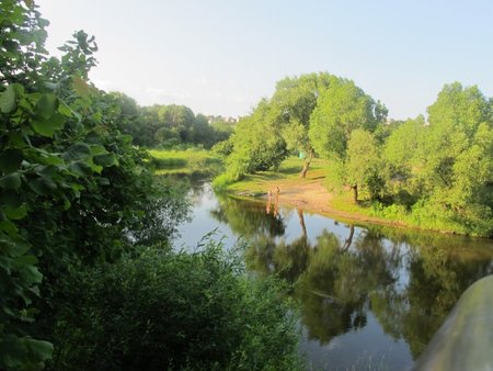 Dubysos upė Ariogaloje