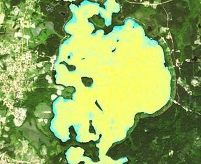 Platelių ežero "žydėjimas" iš kosmoso