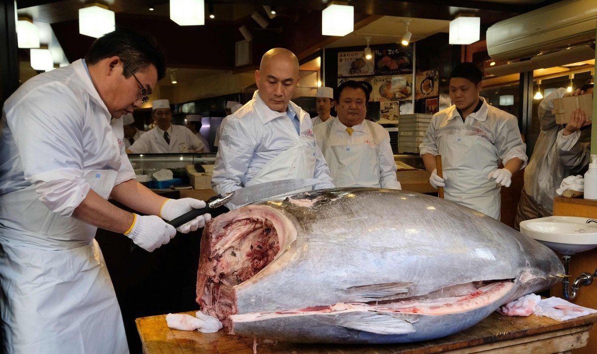 Kiyoshis Kimura už milžinišką tuną paklojo 3,1 mln. dolerių