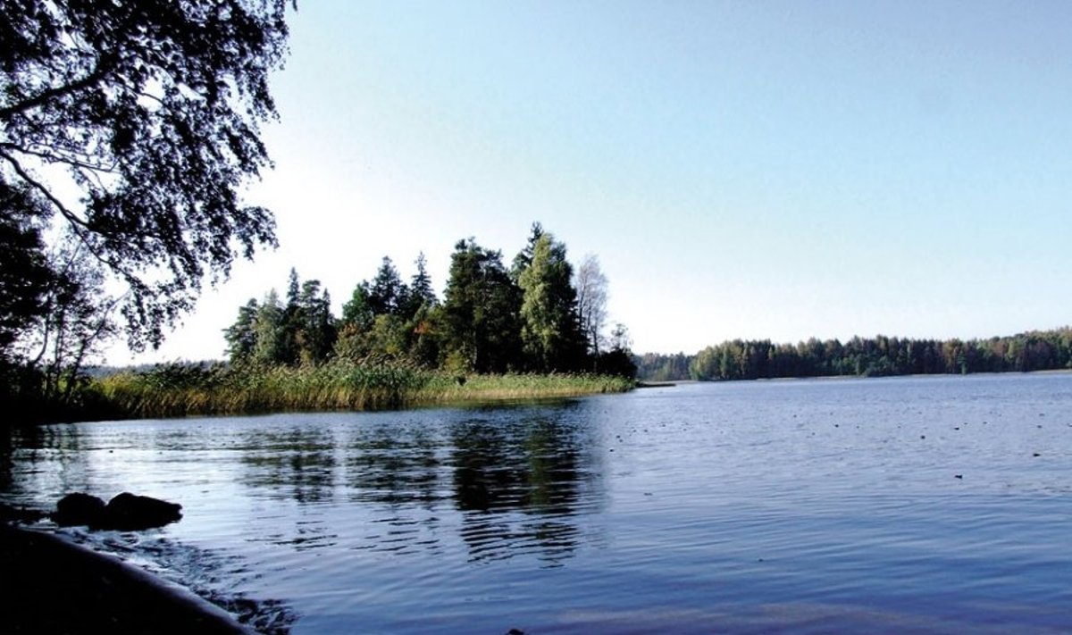 Platelių ežeras (Zigmanto Gudžinsko nuotr.)