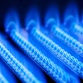 Lithuanian consumers pay least for gas in region, EC says