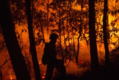 Portugalijoje miškų gaisrai siautėja Algarvės regione