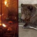 Per zoologijos sodo gaisrą Kryme žuvo daugiau kaip 200 gyvūnų