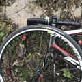 Lemtinga dviratininkės klaida kainavo gyvybę