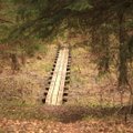 Šereiklaukio miško takas – ideali vieta karantino metu, bet apsilankymas šiose vietovėse gali brangiai kainuoti