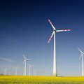 „Litgrid“: stipriai išaugusi vėjo generacija sumažino elektros kainas Lietuvoje