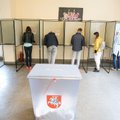 На парламентских выборах 2020 года у проживающих за рубежом литовцев будет отдельный избирательный округ