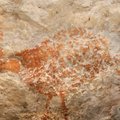 Neįtikėtino pasaulio istorijos: kova išsaugoti 44 000 metų senumo kūrinį