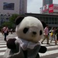 Tokijo kelionių agentūra rengia ekskursijas pliušiniams žaislams