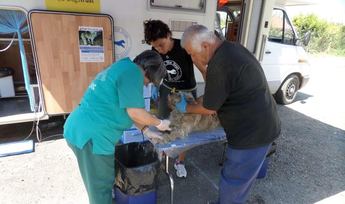 Mobili veterinarijos klinika