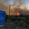 Graikijoje siaučiant miškų gaisrams žuvo trys žmonės