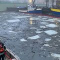 Ekstremali situacija Danėje lieka galioti: ugniagesiai surinko užterštus ledus, ieškomas taršos šaltinis