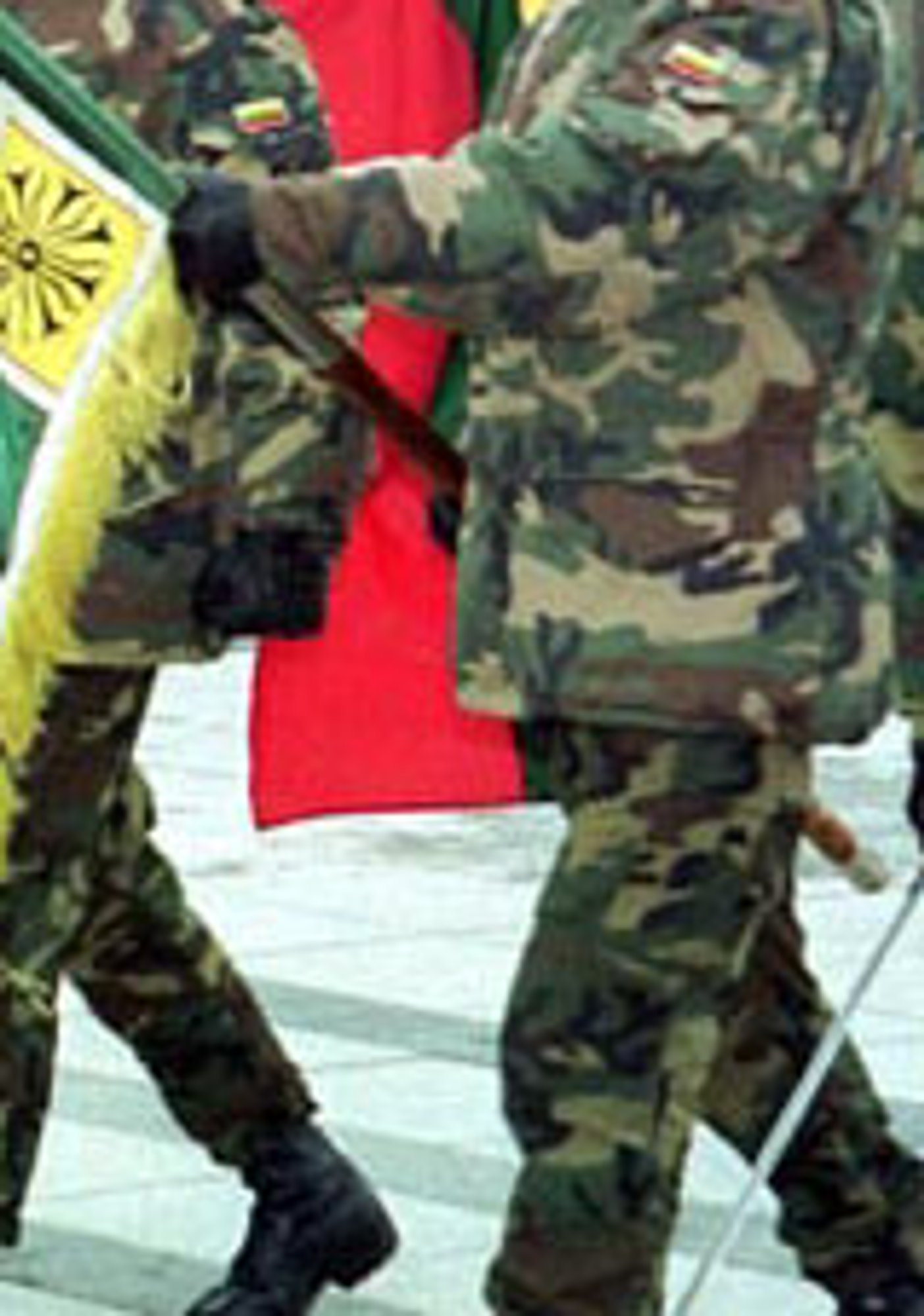 Algirdo bataliono kariai pakeis tarnybos draugus Irake - Delfi