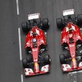 F. Massa: manęs nestebina skirtumas tarp F. Alonso ir K. Raikkoneno