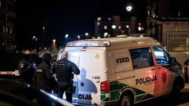 Vilniuje siautėjo vyras: mamą sumušė, o kita jo išsigandusi moteris iššoko pro buto langą