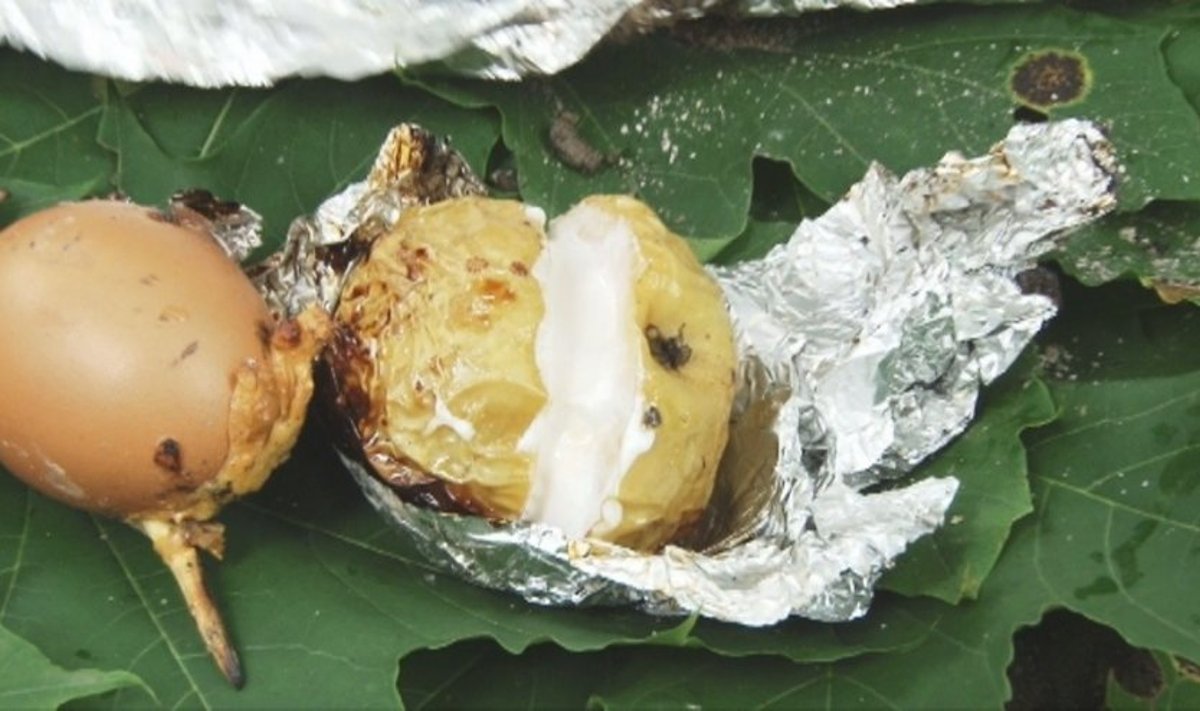 Zefyru įdaryras obuolys bei ant šakos keptas kiaušinis