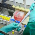 Новейшие данные по Литве: коронавирус установили у 51 медработника