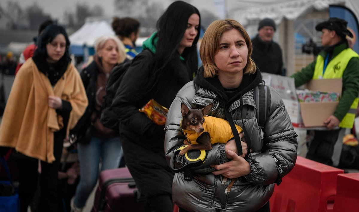 Ukrainos karo pabėgėlė