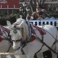 Menininkas visureigį „Hummer“ pavertė arklių traukiamu vežimu