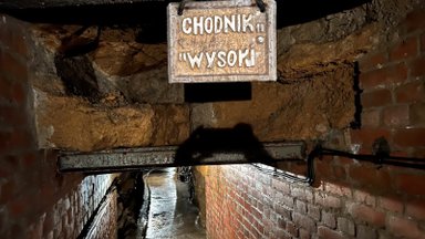 Nepažintas Lenkijos kraštas: siaubingos darbo sąlygos, akių ir sąnarių ligos bei liūdnas arklių likimas
