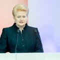 D. Grybauskaitės siūlymas turėtų išgąsdinti mokesčių vengiančius galinguosius