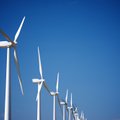 Asociacija: nauji vėjo jėgainių parkai negauna leidimų veiklai