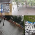 Liūtys nusiaubė lietuvių automobilius: pamestų automobilių valstybinių numerių – it grybų po lietaus
