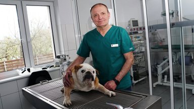 Veterinarijos gydytojas įspėja: augintinio dantų nepriežiūra gali baigtis jo mirtimi