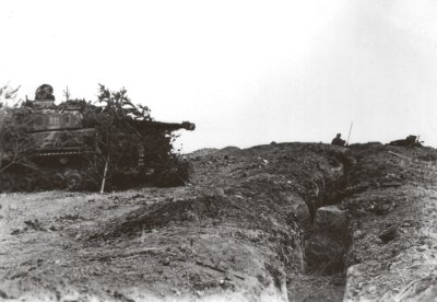 Pozicijoje tykantis spygliuočių šakomis užmaskuotas vokiečių vidutinis tankas Pz. IV. Kuršas. 1944 m.