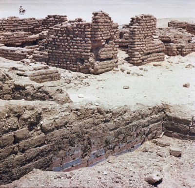Tell el-Amarna vietovėje aptikti senovės Egipto elitui priklausiusios moters aukso dirbiniai. Ministry of Tourism and Antiquities/Scanpix nuotr.