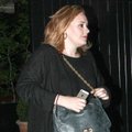 Adele pakomentavo kalbas apie skyrybas su širdies draugu S. Konecki