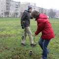 Chromo tarša Klaipėdoje: nauji tyrimai kelia dar daugiau klausimų, rekomenduojama nevalgyti daržovių iš vieno rajono