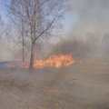Per parą Lietuvoje kilo 38 žolės gaisrai