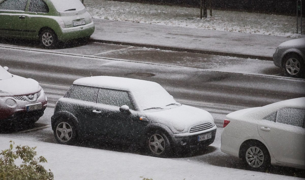 Sniegas Vilniuje