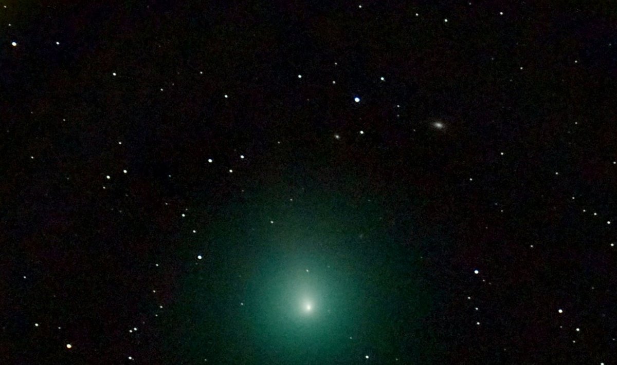 Kalėdų kometa