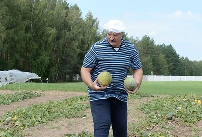 A. Lukašenka kolūkyje
