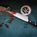 Žmoną nužudęs plungiškis į policininkus metė kruviną peilį