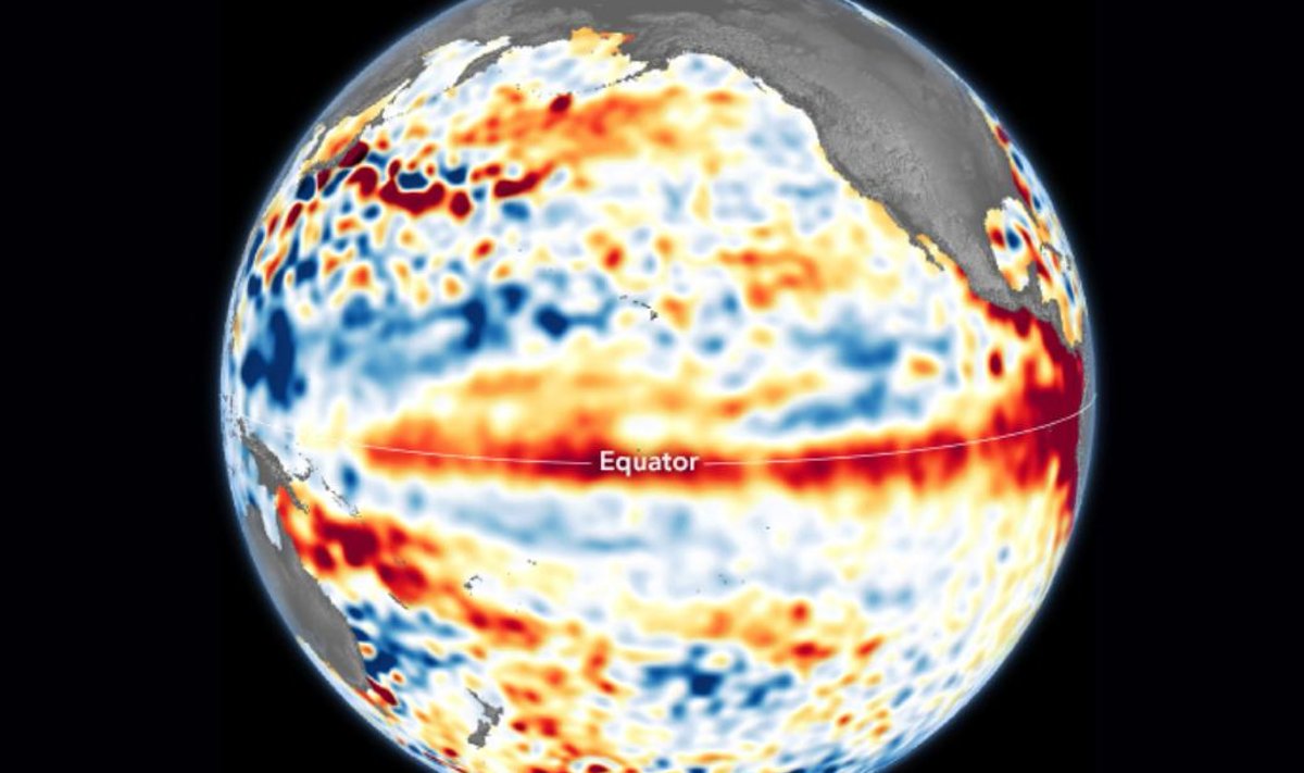 El Ninjo parodo vandens lygio pakilimas Ramiajame vandenyne ties pusiauju. Josh Willis, Severin Fournier, and Kevin Marlis/NASA/JPL-Caltech nuotr.