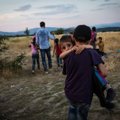 Viduržemio jūros regiono krizė: fiksuojamas didžiausias pabėgėlių ir migrantų skaičius