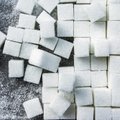 Cukraus kaina kils nebent 2020 metais, suvalgius likučius
