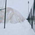 Pilaitės kupolą gelbės nuo pūgos: Vilniaus savivaldybė kviečia prisidėti gyventojus