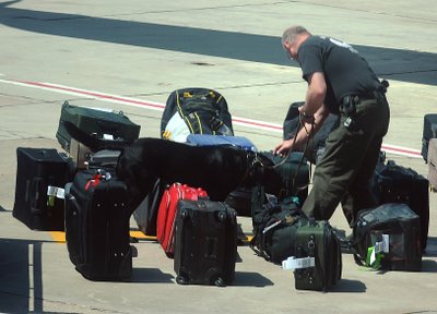 Tikrinamas "JetBlue" lėktuvo bagažas dėl apie bombą prašnekusio piloto