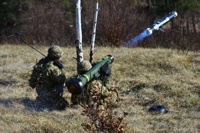 Javelin. U.S. Department of Defense Current Photos Paolo Bovo/Training Support Activity Europe nuotr.