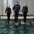 Delfinai Klaipėdos delfinariume - anksčiausiai po metų