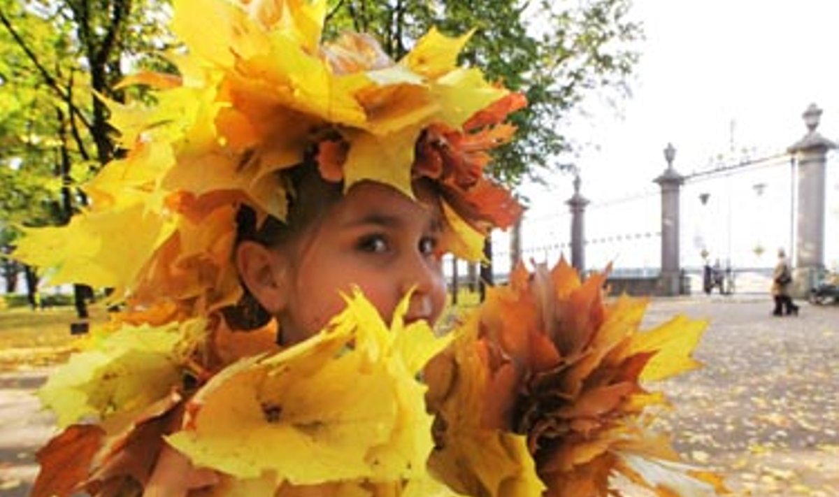 Sankt Peterburge mergaitė džiaugiasi spalvotais klevo lapais.