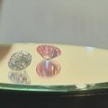 Honkongo aukcione už 17,3 mln. dolerių parduotas itin retas rožinis deimantas
