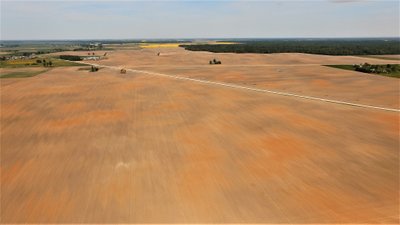 Jei nepakeisim požiūrio į dirvožemį, ateityje bus sunku kalbėti apie augalų produktyvumą