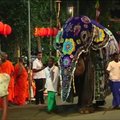 Šventiniame parade Šri Lankos sostinėje - puošniai aprengti drambliai